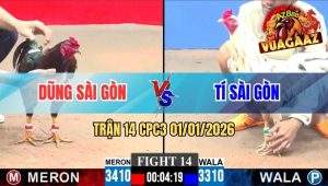 Trận 14 CPC3 01/01/2026