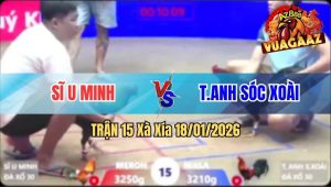 Trận 15 Xà Xía 18/01/2026