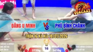 Trận 16 Xà Xía 18/01/2026