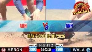 Trận 2 CPC3 15/01/2026