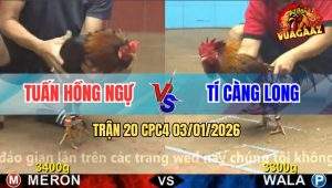 Trận 20 CPC4 03/01/2026