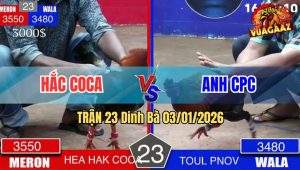 Trận 23 Dinh Bà 03/01/2026