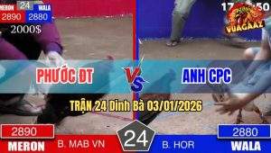 Trận 24 Dinh Bà 03/01/2026