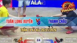 Trận 24 Xà Xía 20/01/2026