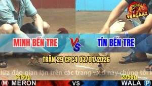 Trận 29 CPC4 03/01/2026