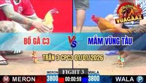 Trận 3 CPC3 01/01/2026