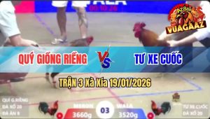 Trận 3 Xà Xía 19/01/2026