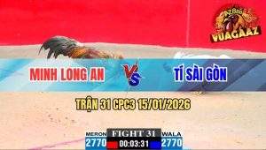 Trận 31 CPC3 15/01/2026