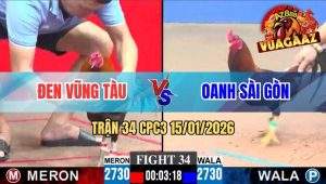 Trận 34 CPC3 15/01/2026