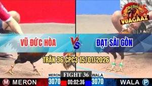 Trận 36 CPC3 15/01/2026