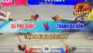 Trận 38 Xà Xía 19/01/2026