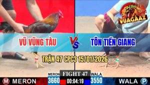 Trận 47 CPC3 15/01/2026
