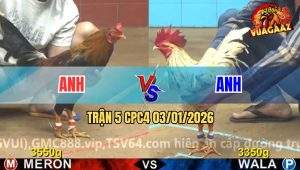 Trận 5 CPC4 03/01/2026