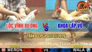 Trận 6 CPC4 03/01/2026
