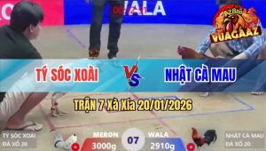 Trận 7 Xà Xía 20/01/2026