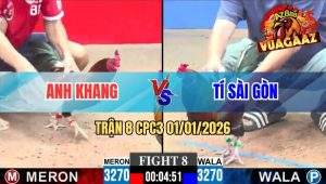 Trận 8 CPC3 01/01/2026