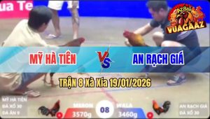 Trận 8 Xà Xía 19/01/2026