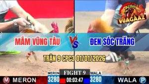 Trận 9 CPC3 01/01/2026