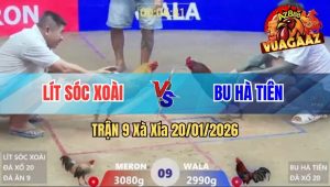 Trận 9 Xà Xía 20/01/2026