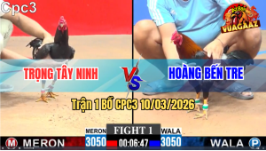 Trận 1 Bồ CPC3 10/3/2026 - Que Đá Đúng 3 Chân Đâm Điều Té Tại Sân