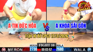 Trận 10 Bồ CPC3 17/3/2026 - Đỏ Ra Chấn Quá Siết Hạ Xanh một Cách Gọn Gàng