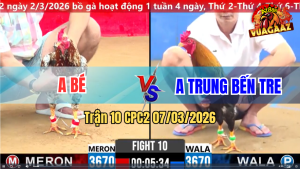 Trận 10 CPC 2 7/3/2026 - Điều Đá Bông Muốn Hư Bông Đá Phản 1 Chân Đâm Điều Chạy