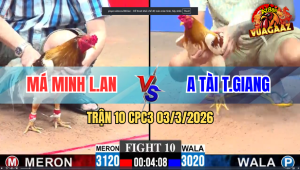 Trận 10 CPC3 03/3/2026 - Xanh Canh Chặn Đâm Chân Đỏ Xách Đuôi Ra