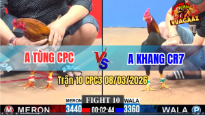 Trận 10 CPC3 8/3/2026 - Điều Tích Vôi Canh Chặn Quá Tốt Khét Không Có Cửa Phản