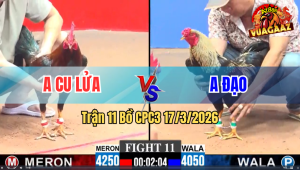 Trận 11 Bồ CPC3 17/3/2026 - Chuối Vừa Vào Siết Quá Siết Buông Ra Đỏ Hết Đứng