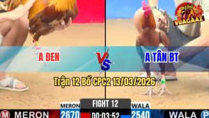 Trận 12 Bồ CPC2 13/3/2026 - 2 Khét Đá Nhau Xanh Có Chân Quyết Định Đâm Đỏ Lật Xe