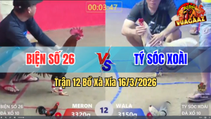 Trận 12 Bồ Xà Xía 16/3/2026 - Điều Đá Lọt Cây Quá Hiểm Bướm Chết Từ Trong Ra Ngoài