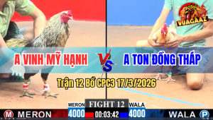 Trận 12 Bồ CPC3 17/3/2026 - Chuối Đá Bo Lớn Tới Phút 90 Bướm Anh Ton Hết Phép