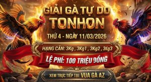Giải Gà Tự Do Bồ Tonhon Ngày 11/3/2026