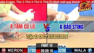 Trận 13 CPC2 7/3/2026 - Chấp 5 Chấm 2 Idol Lấy Xe Chở Tiền