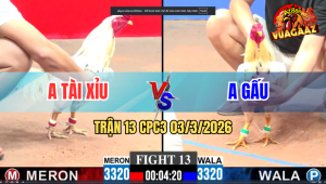 Trận 13 CPC3 03/3/2026 - Đỏ Đá Xanh Muốn Hư Hình Xanh Gồng Đá Lại Đỏ Chạy Bất Ngờ