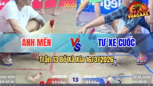 Trận 13 Bồ Xà Xía 16/3/2026 - Đỏ Ra Chân Nào Cũng Nghiệt Xanh Hết Đường Phản