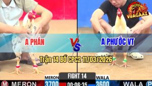 Trận 14 Bồ CPC2 11/3/2026 - Bướm Đá Quá Đâm Úa Chịu Không Nổi Nhiệt Xách Ra