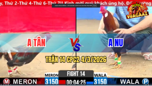 Trận 14 Bồ CPC2 4/3/2026 - Xanh Đá Đỏ Lọt Cây Nặng Ói Hết Sửa