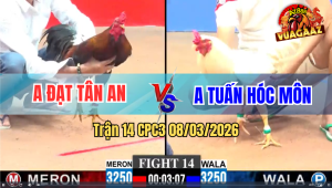 Trận 14 CPC3 8/3/2026 - Úa Phút 90 Có Chân XL Lấy Lúa