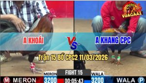 Trận 15 Bồ CPC2 11/3/2026 - Điều Chân Trắng Siết Mấy Chân Về Bờ Nhanh Gọn