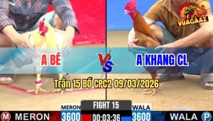 Trận 15 Bồ CPC2 9/3/2026 - Khét Canh Đá Mấy Chân Đâm Úa Gục Tại Chỗ
