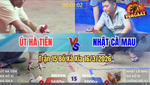 Trận 15 Bồ Xà Xía 16/3/2026 - Khét Chấp Quá Ngông Bướm Đá Cho Khét Hết Đường Ra