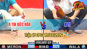 Trận 15 Bồ CPC3 19/3/3026 - Xanh Đá Chân Như Búa Bổ Hạ Đỏ Tuyệt Đối