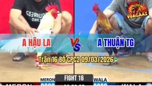 Trận 16 Bồ CPC2 9/3/2026 - Điều Quá Đâm Nhưng Bị Bướm Đá Cậy Nghiệt Té