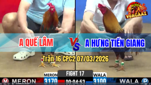 Trận 17 CPC 2 7/3/2026 - Xanh Bươi Chà 1 Tay Nước Rinh Đỏ Ra Ngoài