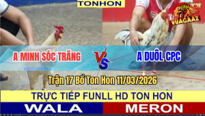 Trận 17 Bồ TonHon 11/3/2026 - Bòn Doul Tung Cọp Ra Gặp Khắc Tinh Đời Mình