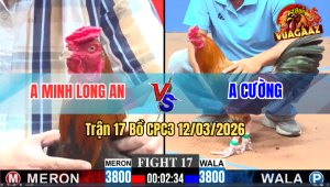 Trận 17 Bồ CPC3 12/3/2026 - Vàng Canh Chặn Đâm Điều Cây Té Lật Xe Hết Sửa