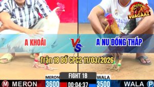 Trận 18 Bồ CPC2 11/3/2026 - Xám Đâm Quá Tịch 1 Tay Nước Bướm Nằm Tại Chỗ