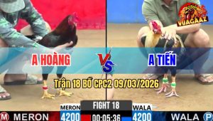 Trận 18 Bồ CPC2 9/3/2026 - Chuối Nhập Vô Đá 1 Cặp Đâm Điều Té Lật Xe