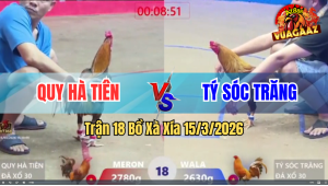 Trận 18 Bồ Xà Xía 15/3/2026 - Khét Đỏ Tán Cây Ngay Đầu Xanh Sặc Ói Hết Cứu